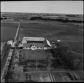 1955